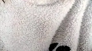 clemencesex Live Webcam