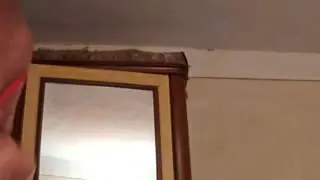 cougar33 Live Webcam