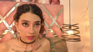 nordemon Live Webcam