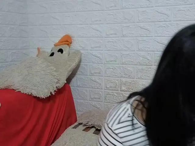 puf Live Webcam Profil
