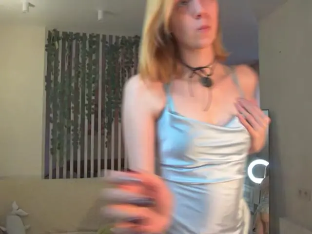 skyfia Live Webcam Profil